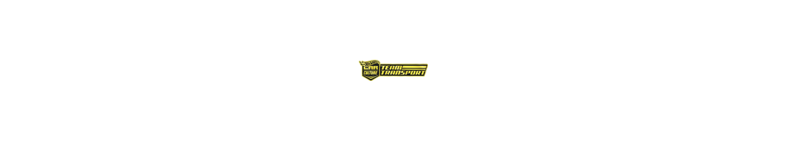 Team Transport